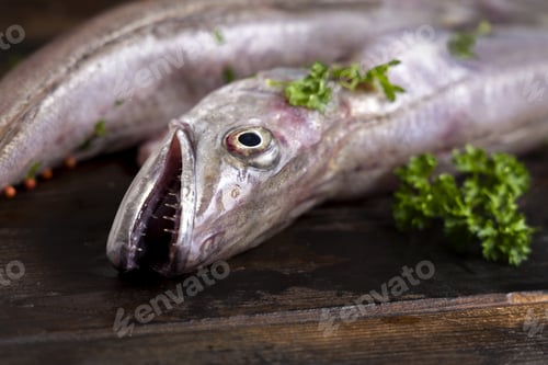 Preview: Fresh European hake fish on wooden board with parsley, Raw uncooked Merluccius merluccius close-up