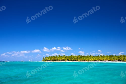 Aperçu: Caribbean beach