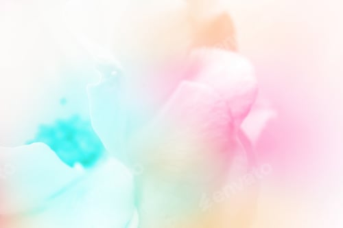 Preview: Colorful Flowers In Soft Color And Blur Style For Background