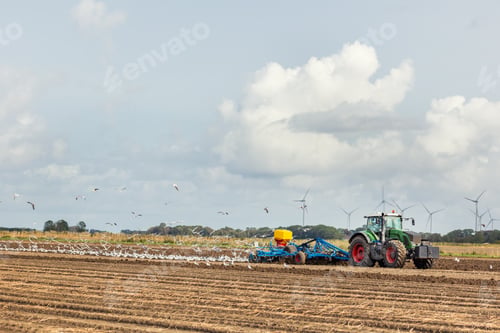 Preview: Big flock of hungry seagulls birds following modern tractor agricultural machine at farm field