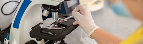 Preview: Female vet scientist doing tests in modern laboratory