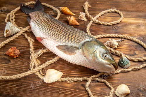 Preview: front view fresh fish with ropes on wooden desk food seafood dish ocean