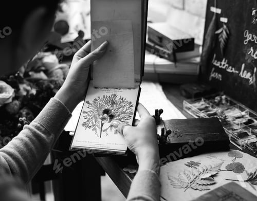 Preview: Hands Holding Dry Flowers Plants Collection Notebook