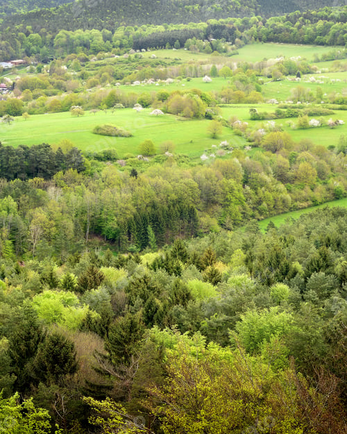 Preview: countriside landscape
