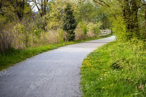 Preview: Beautiful view of a road surrounded by greenery