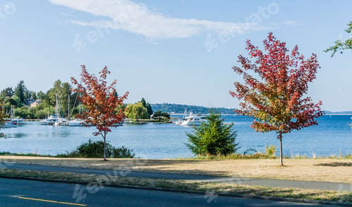 Preview: A Landscape Shot Of A Walkway Along Lake Washington In Seattle.