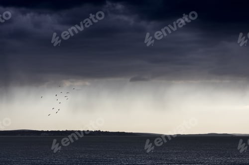 Preview: Stunning view of dark blue rain clouds over the ocean and a group of birds flying over the horizon