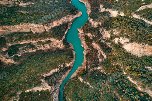 Preview: River flowing through a canyon, flanked by trees, seen from above