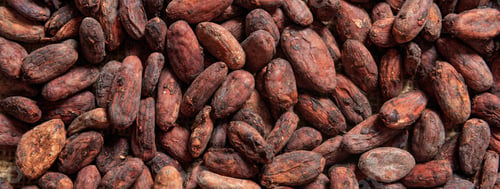 Preview: Cocoa beans full frame background, banner. Close up view