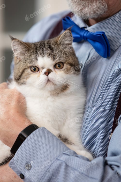 Preview: Senior man holds a fluffy cat in a warm embrace