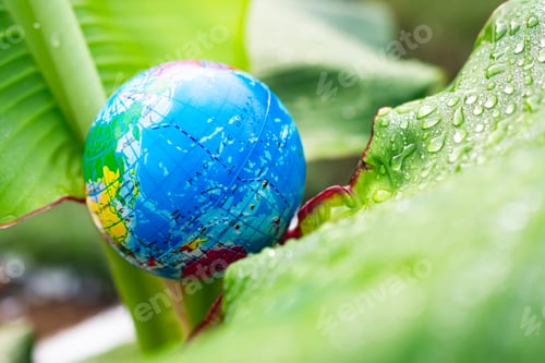 Preview: Globe model on green leaf nature background