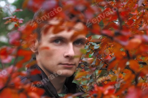 Preview: Portrait Of A Young Man In Autumn Leaves