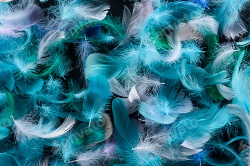 Preview: seamless background with bright blue, green and turquoise feathers isolated on black