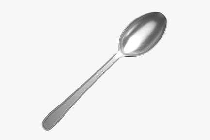 Preview: Polished Silverware Spoon