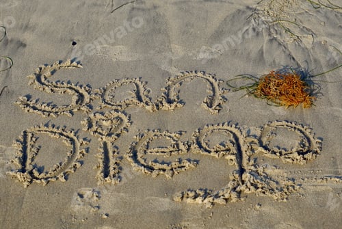 Preview: Words in the wild with seaweed. San Diego sand.