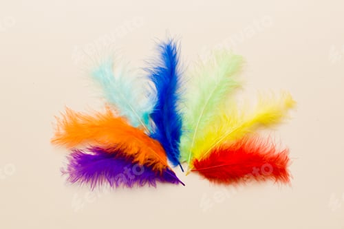 Preview: background of brightly colored dyed bird feathers on Colored background, top view. Copy space