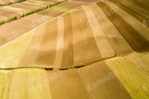 Preview: farmland texture background in autumn