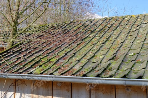 Preview: Closeup shot of the roof of a house next to a tree
