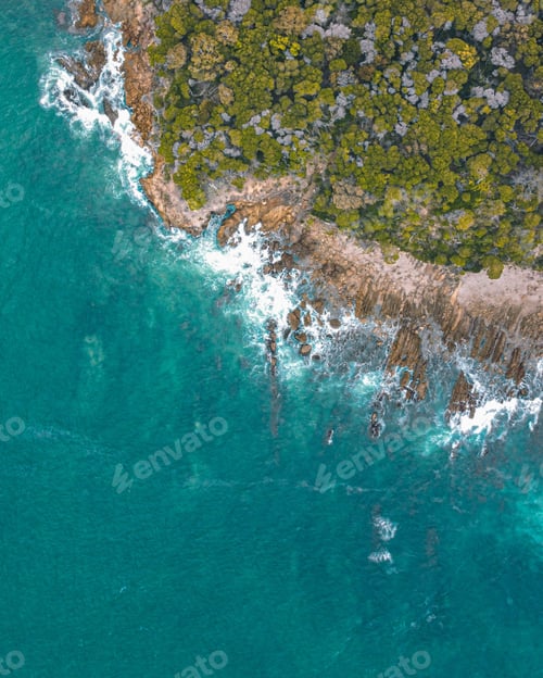 Preview: Scenic view of lush green trees lining the shore of a peaceful blue ocean