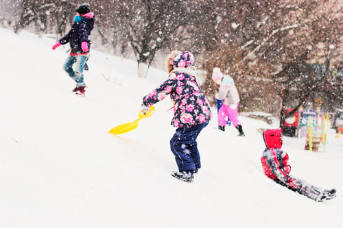 Preview: Children Enjoying Winter Sledding During Snowy Weather