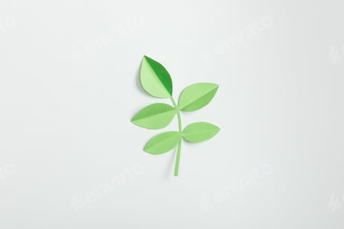 Preview: top view of green paper plant with leaves on grey background