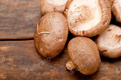 Vista previa: hongos shiitake