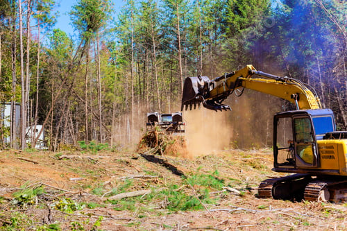 Preview: Trees are uprooted during preparation of a construction site when an excavator is being used by