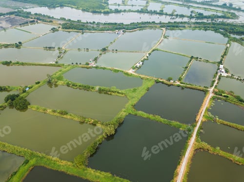 Preview: Top view of Fish hatchery pond
