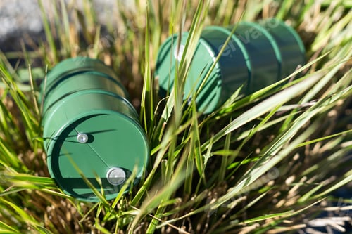 Preview: The iron tin was dropped amongst the grass. (environmental waste problem)