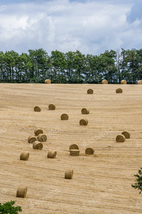 Preview: Agriculture