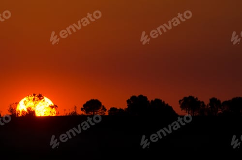 Preview: Beautiful landscape image with trees silhouette at sunset, Spain