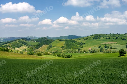 Preview: Rural landscape at May in Oltrepo Pavese near Zavattarello