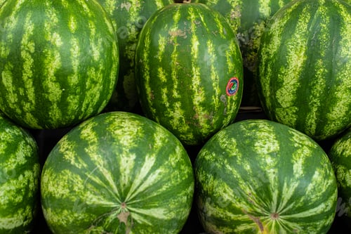 Preview: Juicy green watermelons on the counter