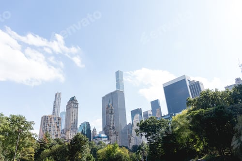 Preview: urban scene with trees in city park and skyscrapers in new york, usa