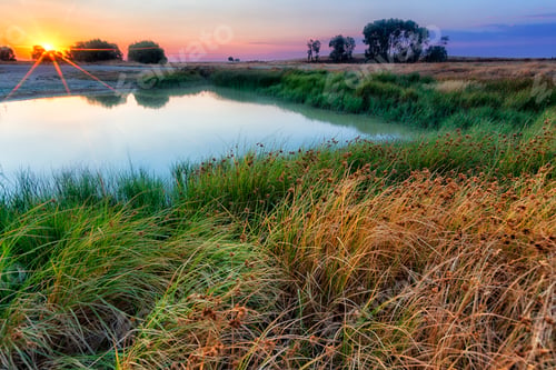 Preview: Blooming meadow on coast of lake in mountain range