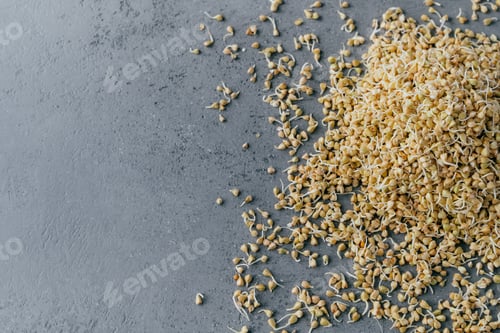 Preview: Germinated buckwheat overhead isolated over grey background with copy space. Healthy raw diet