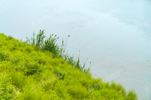 Preview: Coast of a wide flat river
