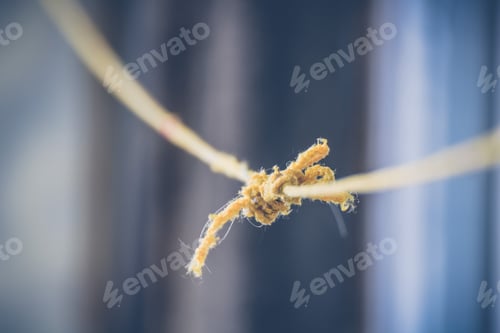Preview: Background of a close up yellow rope