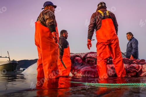 Preview: Fishermen sorting the day's catch at dusk