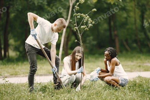 Preview: Young volunteers planting a tree together at park