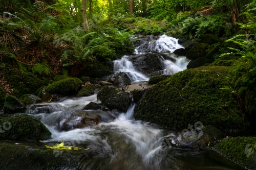 Preview: Small waterfall amid mossy rocks and trees in a serene setting