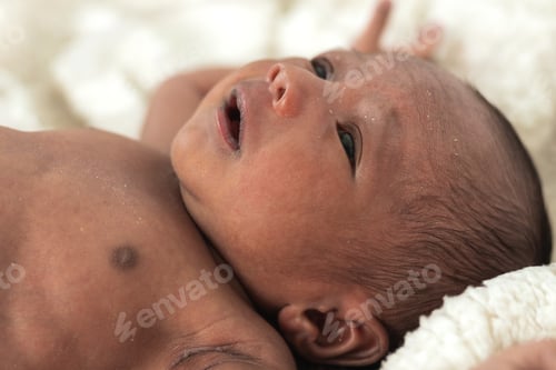 Preview: Newborn baby on soft blanket