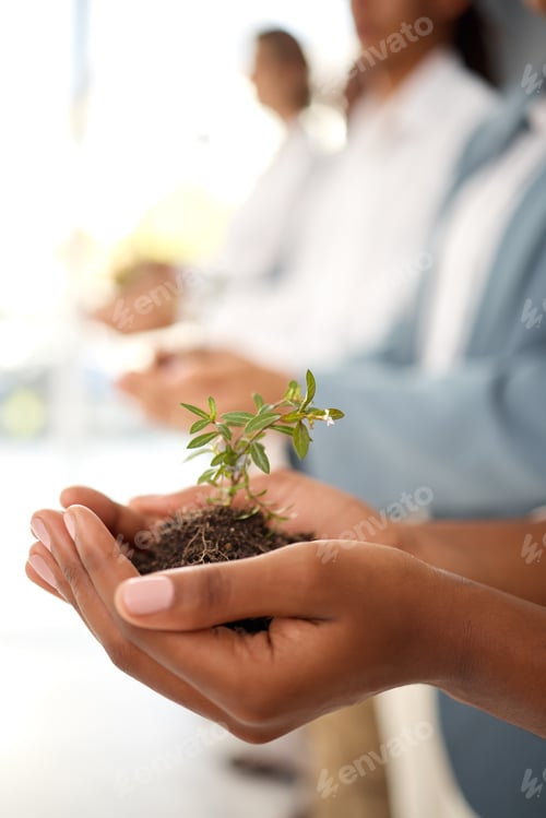Preview: Plants, hands and business growth for eco friendly investment, sustainability and company green sta