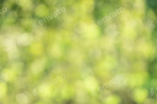 Preview: Spring leaves bokeh