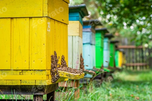 Preview: Colorful apiary in countryside, Poland in summer