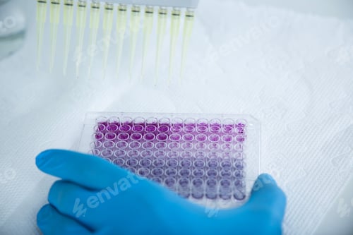 Preview: Laboratory electronic multichannel pipettes with microplate. Bioengineering, research.