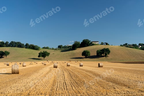Preview: Rural landscape near Petriolo, Marches, Italy