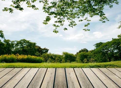 Preview: rustic wood floor in front of the big tree