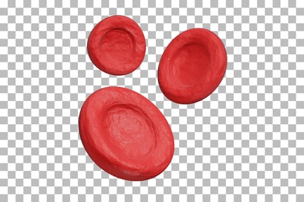 Preview: Blood Cells