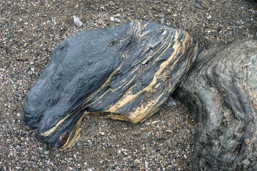 Preview: Slate stone with fine veins of golden pyrite on a beach